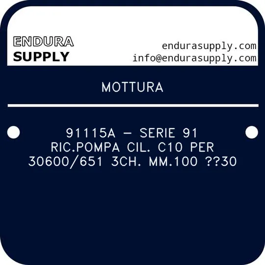 mottura-91115a-serie-91-ricpompa-cil-c10-per-30600651-3ch-mm100-30