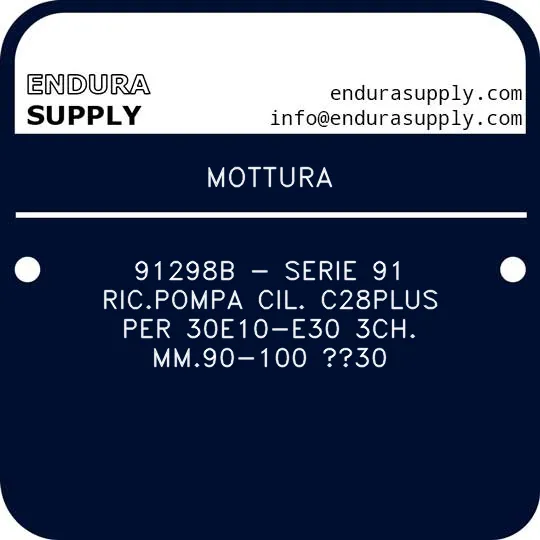 mottura-91298b-serie-91-ricpompa-cil-c28plus-per-30e10-e30-3ch-mm90-100-30