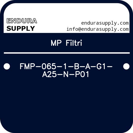 mp-filtri-fmp-065-1-b-a-g1-a25-n-p01