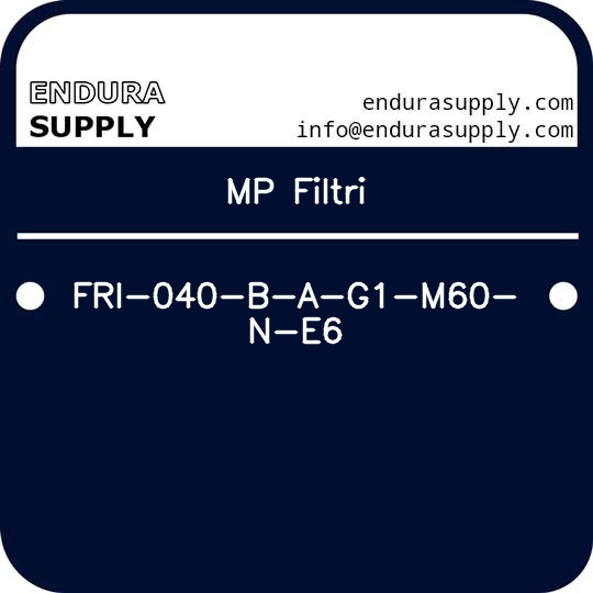 mp-filtri-fri-040-b-a-g1-m60-n-e6