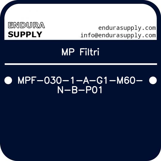 mp-filtri-mpf-030-1-a-g1-m60-n-b-p01