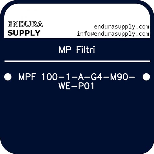 mp-filtri-mpf-100-1-a-g4-m90-we-p01