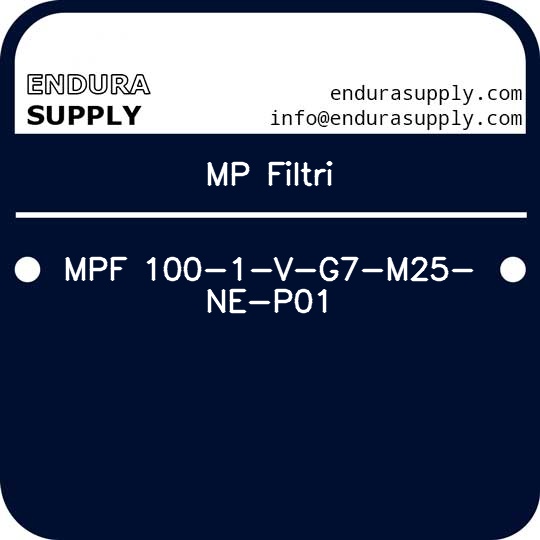 mp-filtri-mpf-100-1-v-g7-m25-ne-p01
