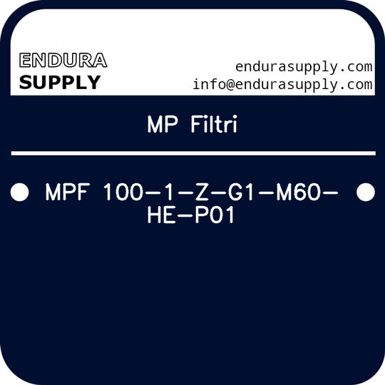 mp-filtri-mpf-100-1-z-g1-m60-he-p01