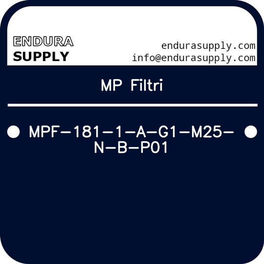 mp-filtri-mpf-181-1-a-g1-m25-n-b-p01