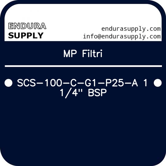 mp-filtri-scs-100-c-g1-p25-a-1-14-bsp