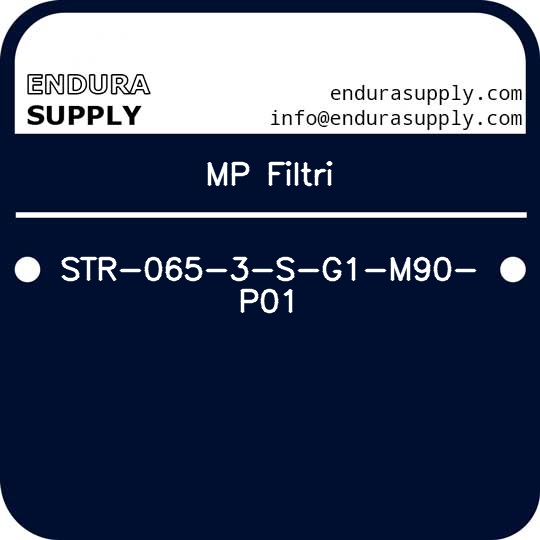 mp-filtri-str-065-3-s-g1-m90-p01