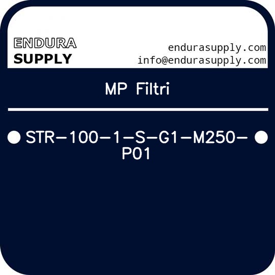 mp-filtri-str-100-1-s-g1-m250-p01