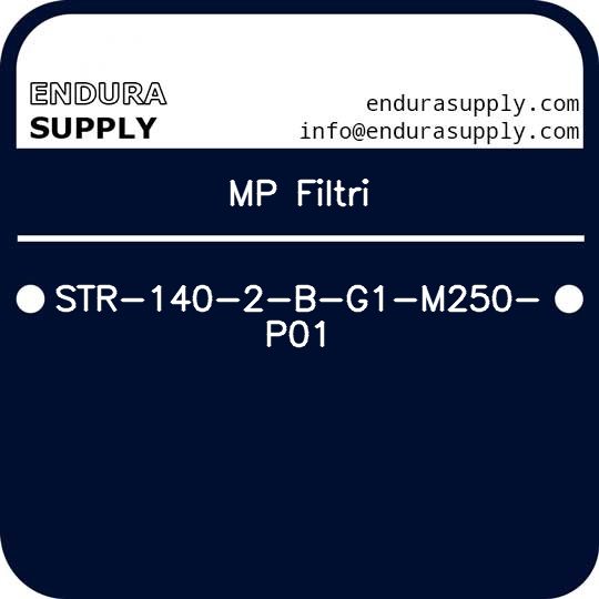 mp-filtri-str-140-2-b-g1-m250-p01