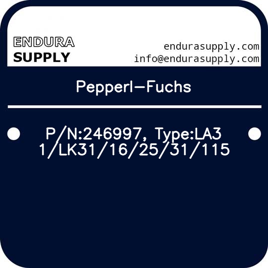 pepperl-fuchs-pn246997-typela31lk31162531115
