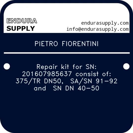 pietro-fiorentini-repair-kit-for-sn-201607985637-consist-of-375tr-dn50-sasn-91-92-and-sn-dn-40-50
