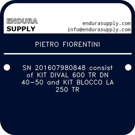 pietro-fiorentini-sn-201607980848-consist-of-kit-dival-600-tr-dn-40-50-and-kit-blocco-la-250-tr