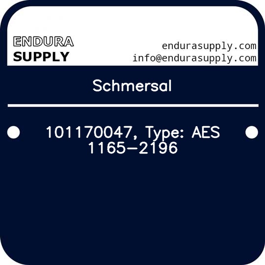 schmersal-101170047-type-aes-1165-2196
