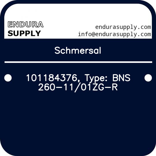 schmersal-101184376-type-bns-260-1101zg-r